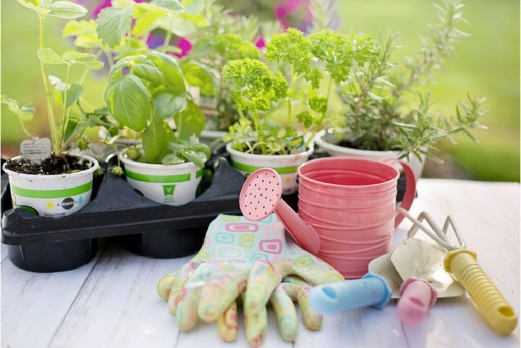 Tools, gloves and watering can (all pastel coloured) are set out for gardening injury-free. Potted herbs are in the background.